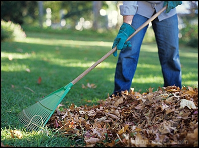 ეზოს დალაგება